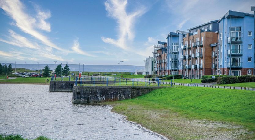 Photo of The Shrinking Violet