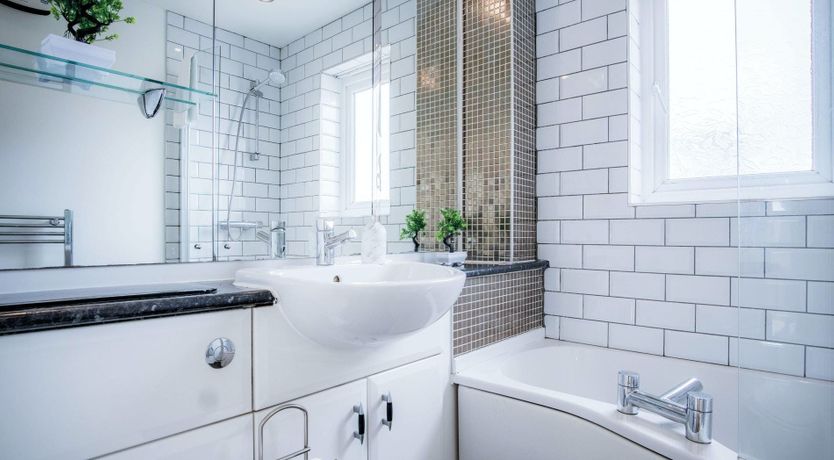 Photo of The Shrinking Violet