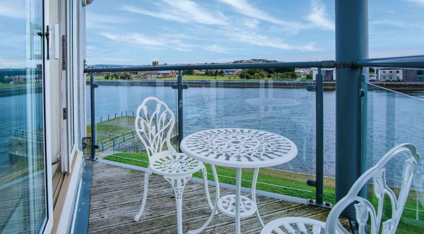 Photo of The Shrinking Violet