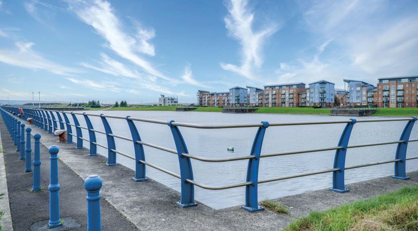 Photo of The Shrinking Violet