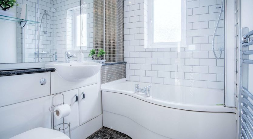 Photo of The Shrinking Violet