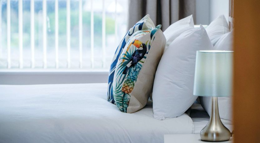 Photo of The Shrinking Violet