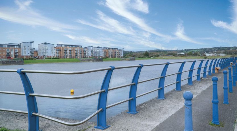 Photo of The Shrinking Violet