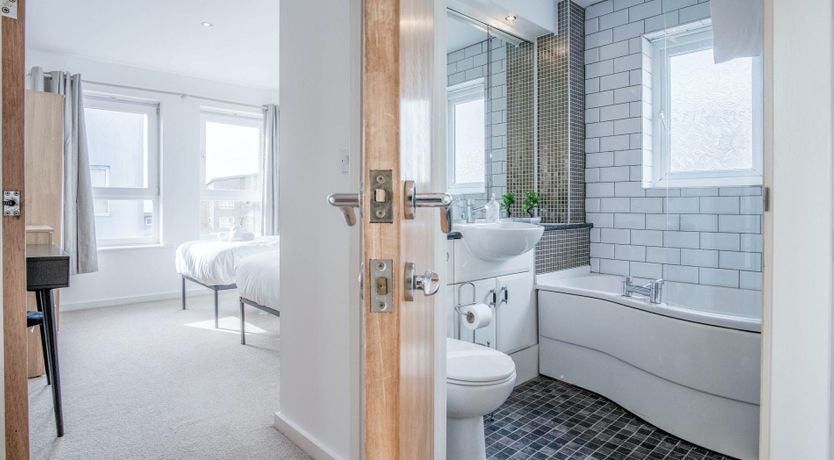 Photo of The Shrinking Violet