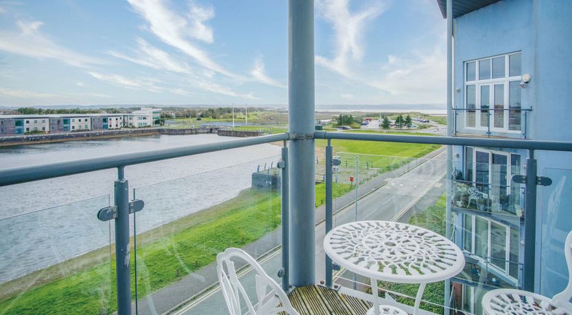 Photo of The Shrinking Violet