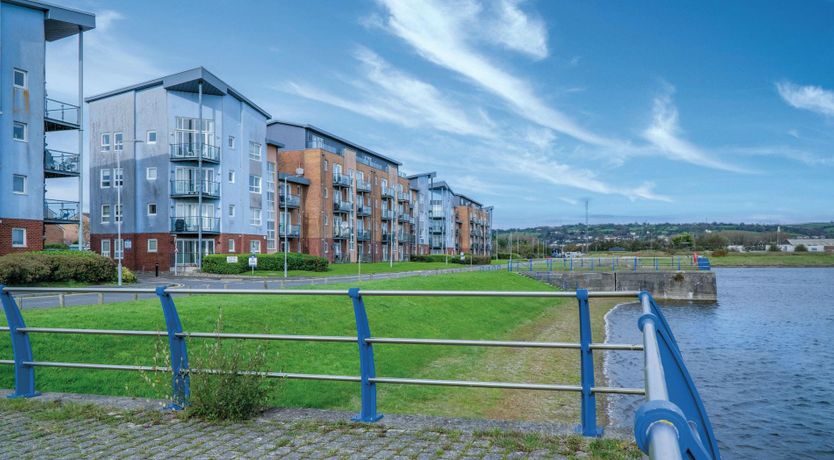 Photo of The Shrinking Violet