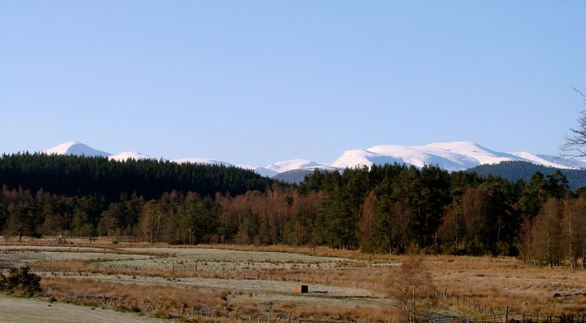 Photo of The Highland Wonder