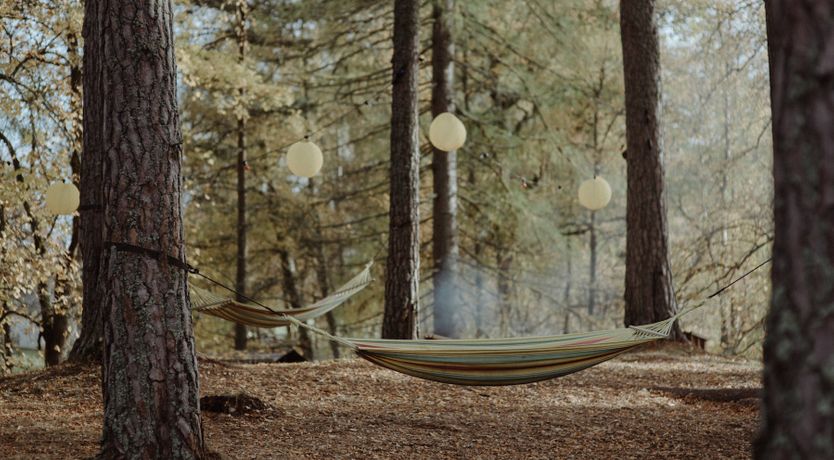 Photo of The Highland Wonder