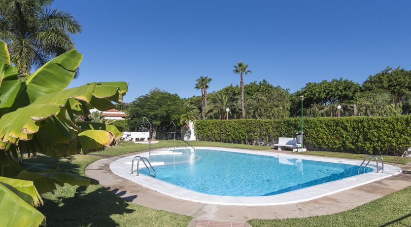 Photo of Golden Elegance