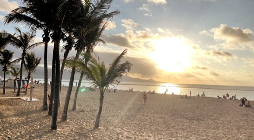 Photo of Golden Elegance