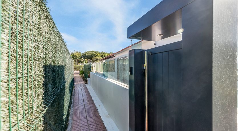 Photo of Golden Elegance