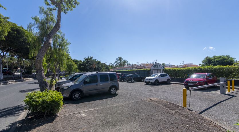 Photo of Golden Elegance