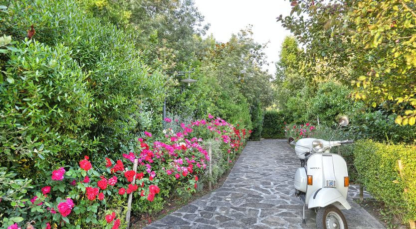 Photo of Enchanted Olive Grove