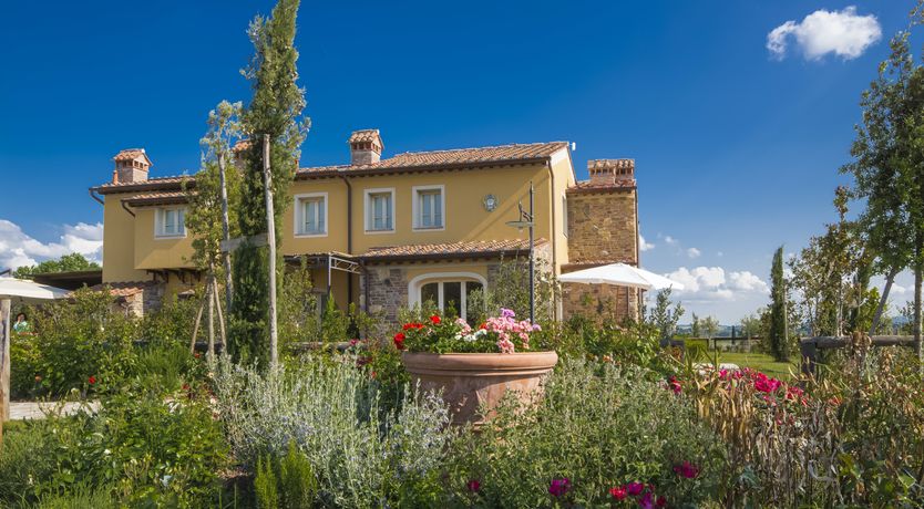 Photo of Enchanted Olive Grove