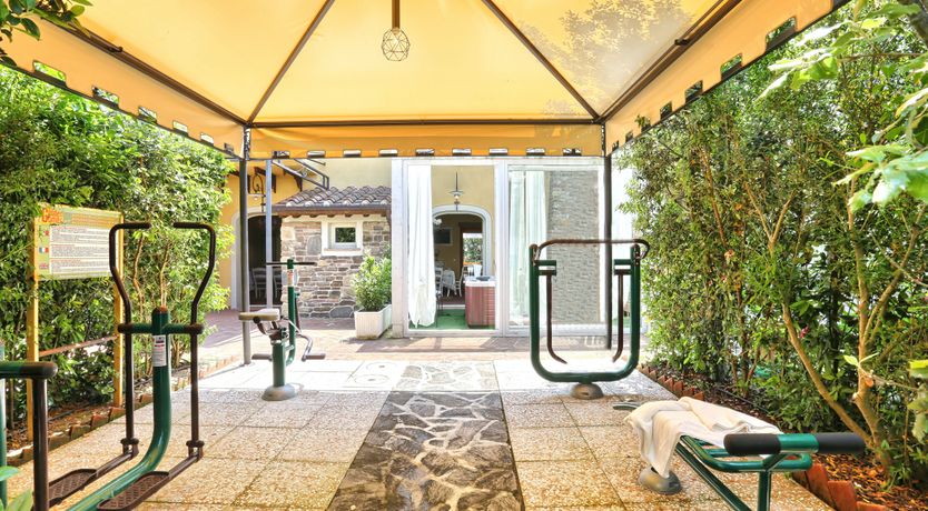 Photo of Enchanted Olive Grove