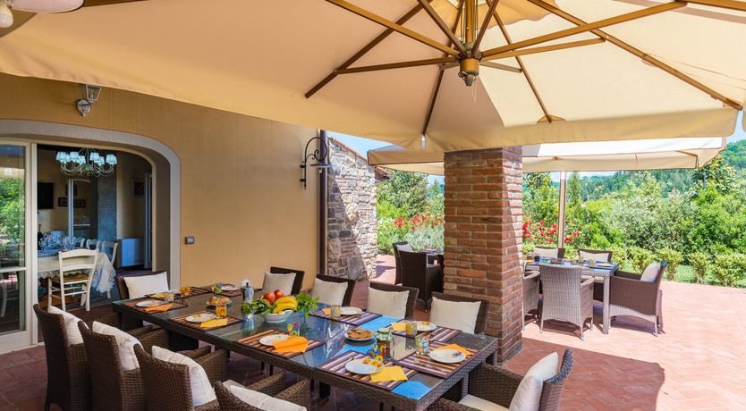 Photo of Enchanted Olive Grove