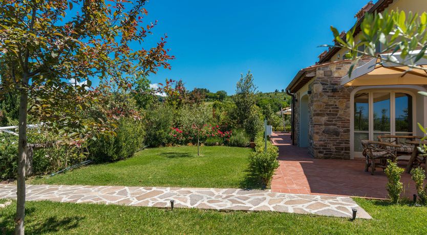 Photo of Enchanted Olive Grove