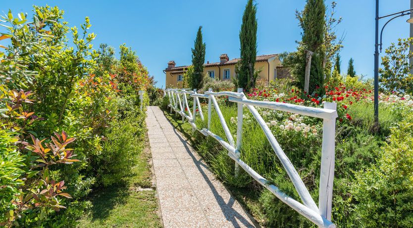 Photo of Enchanted Olive Grove