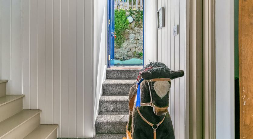 Photo of Captain Curious