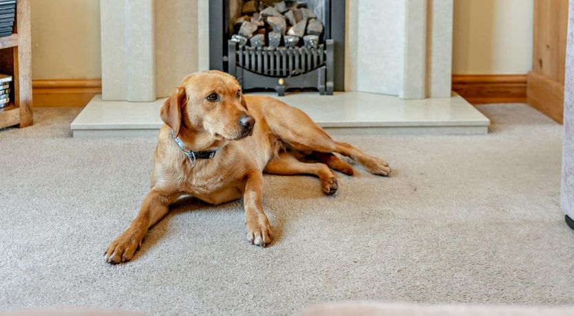 Photo of 2 Bed in Millom