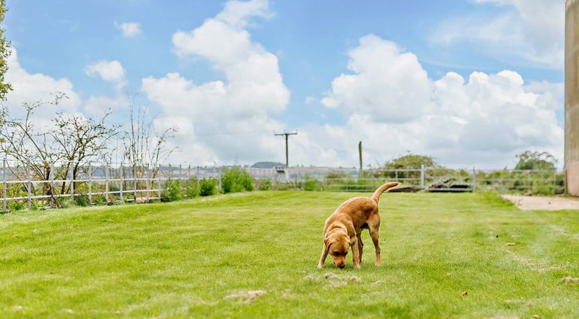 Photo of 1 Bed in Mattersey