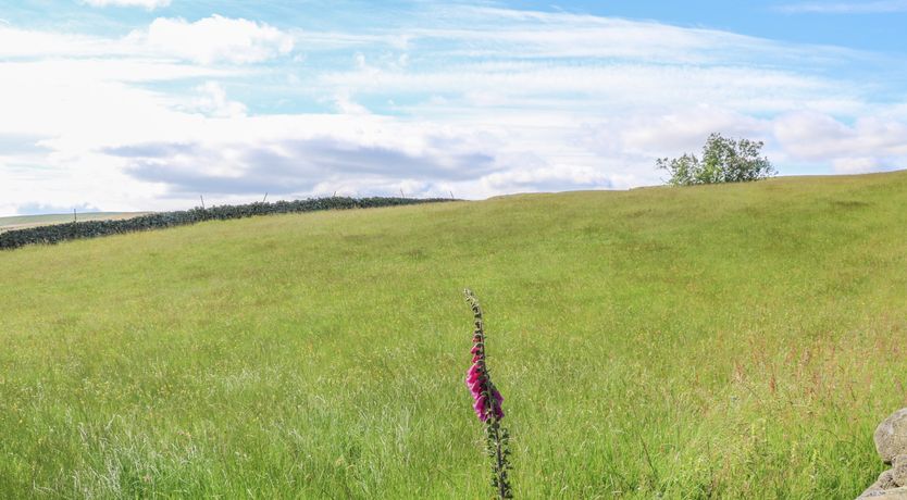 Photo of Shepherd's Cottage