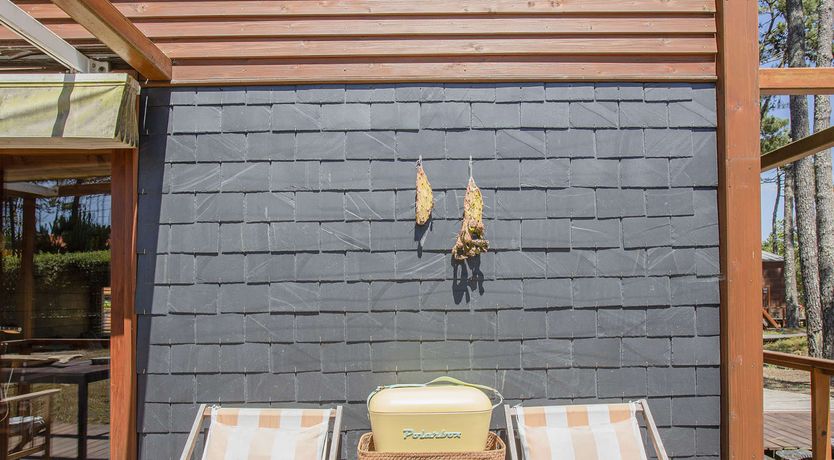 Photo of Floral Field