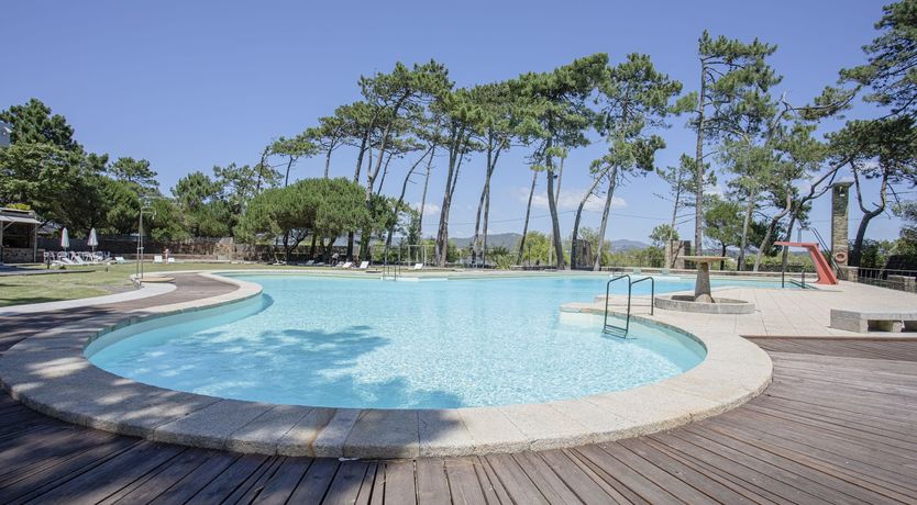 Photo of Floral Field