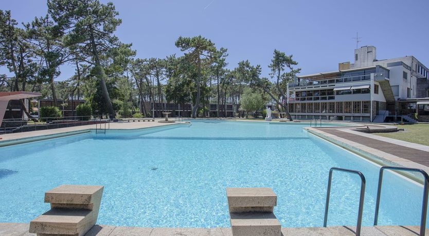 Photo of Floral Field