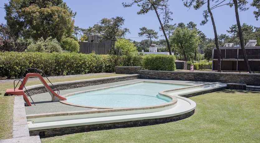 Photo of Floral Field