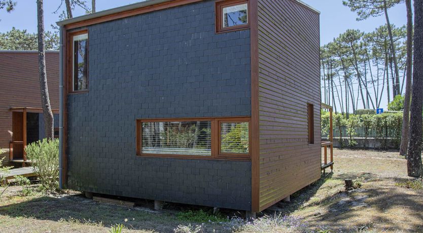 Photo of Floral Field