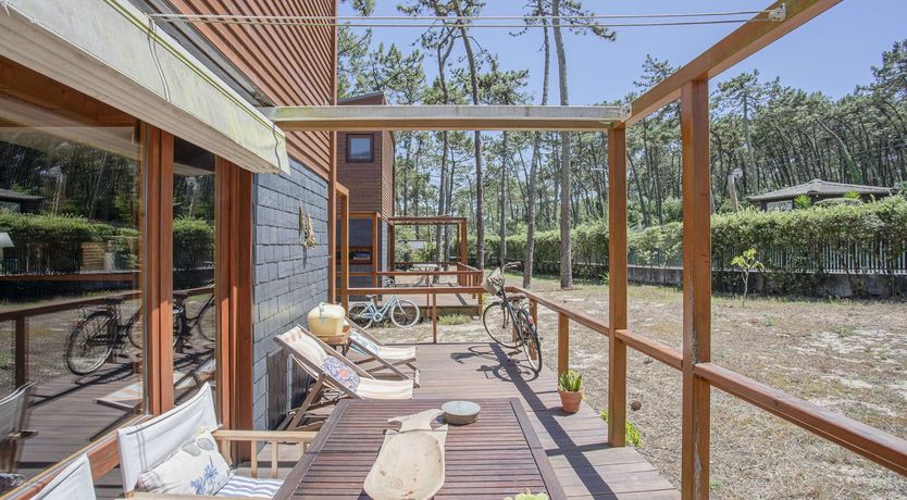 Photo of Floral Field