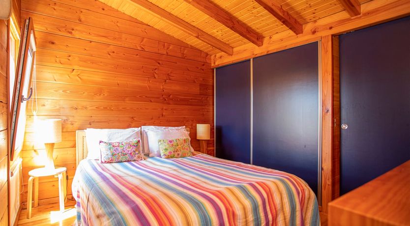 Photo of Floral Field