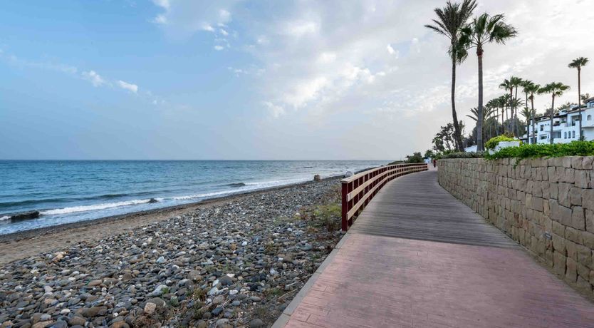 Photo of Soaked in Sunlight