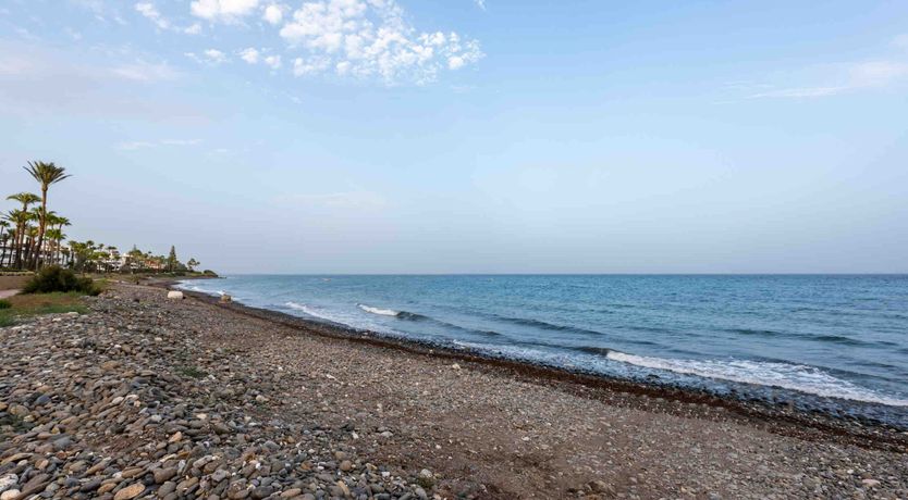 Photo of Soaked in Sunlight