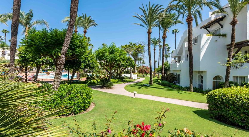 Photo of Soaked in Sunlight