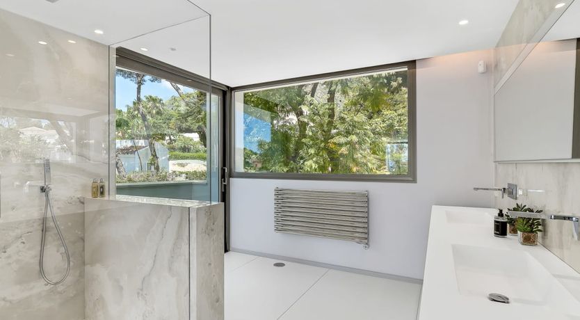 Photo of A Spanish Rose