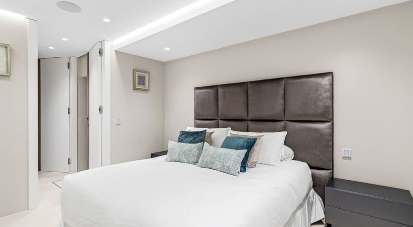 Photo of A Spanish Rose