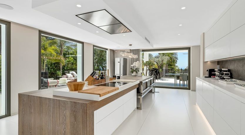 Photo of A Spanish Rose