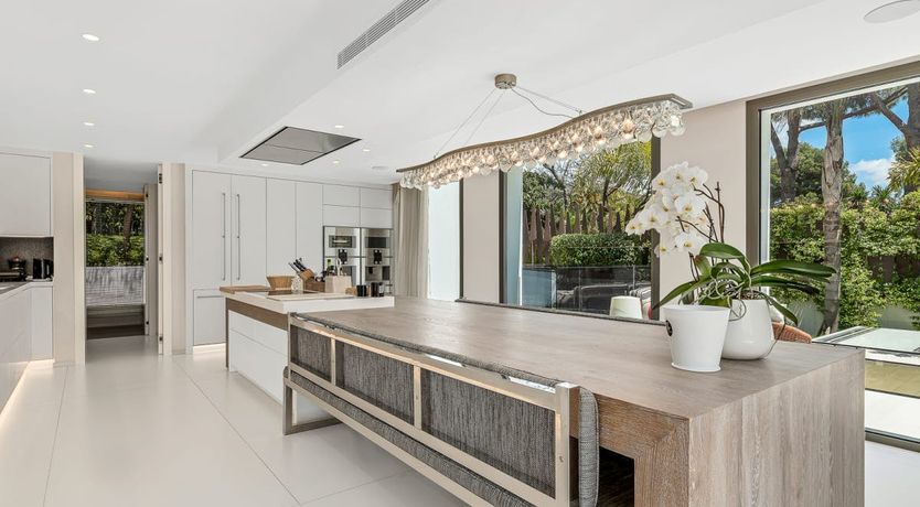 Photo of A Spanish Rose