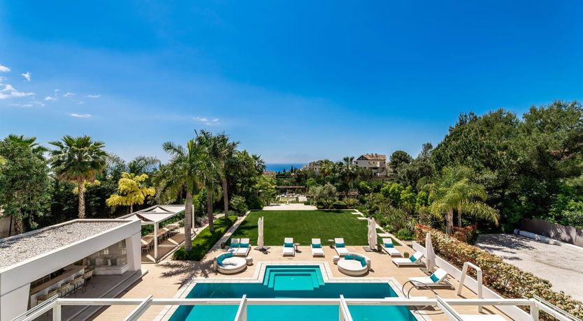 Photo of A Spanish Rose