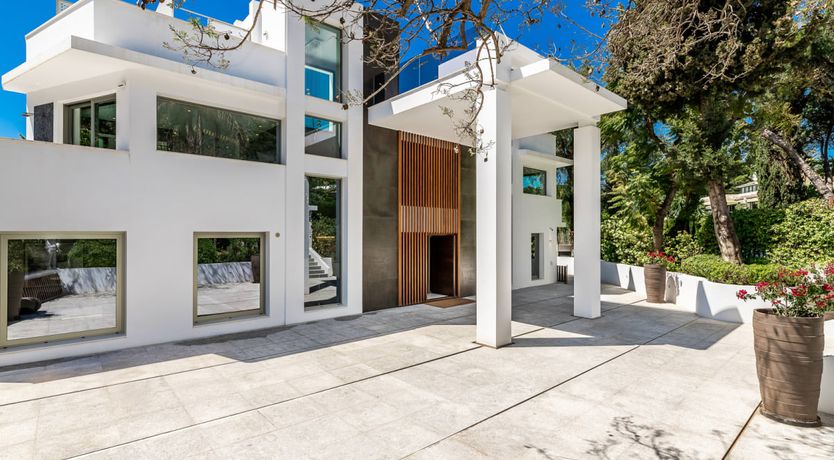 Photo of A Spanish Rose