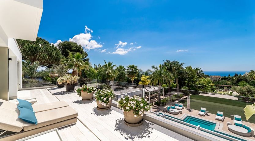 Photo of A Spanish Rose