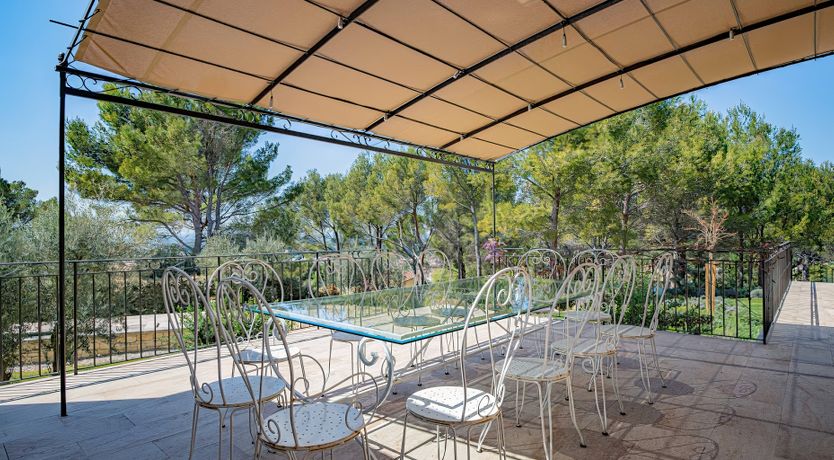 Photo of The Champion of the Hills