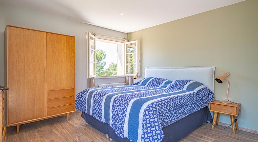 Photo of The Champion of the Hills