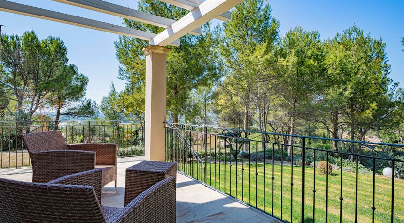 Photo of The Champion of the Hills