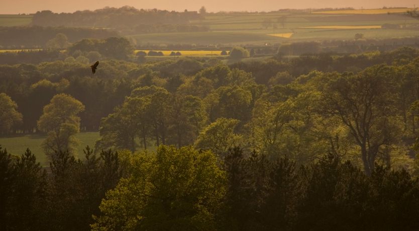 Photo of The Country Slicker