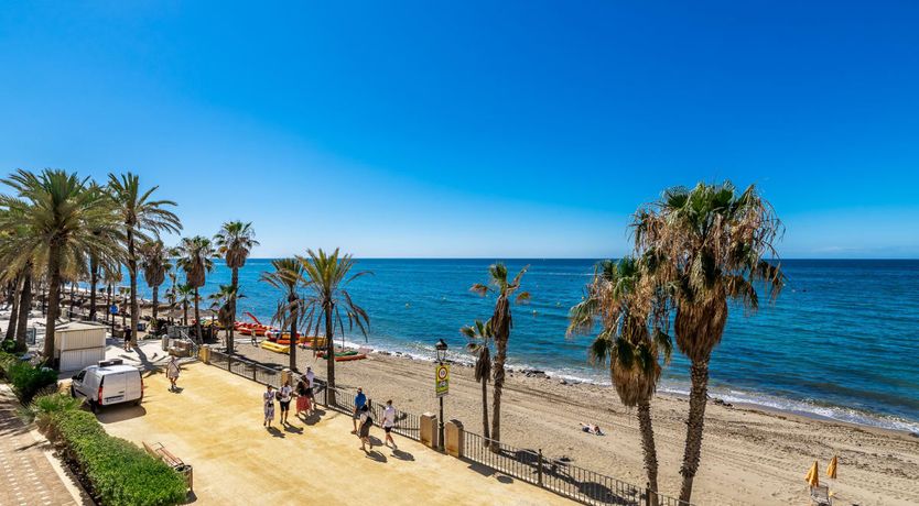 Photo of Spanish Sunbeam's