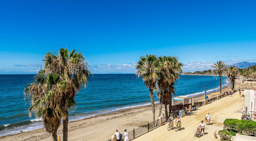 Photo of Spanish Sunbeam's