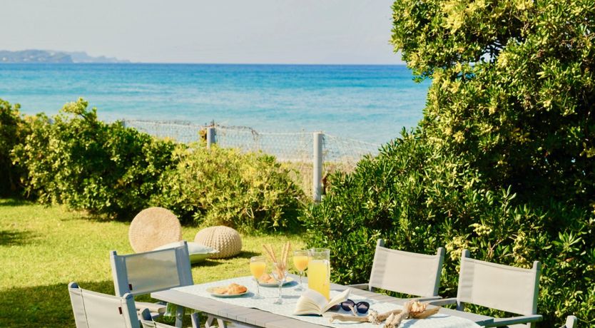 Photo of Starlit Nights